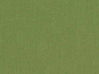 Sunbrella Spectrum Cilantro furniture fabric. Item number 48022-0000
